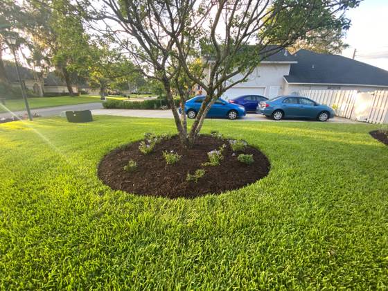 Mulch Job